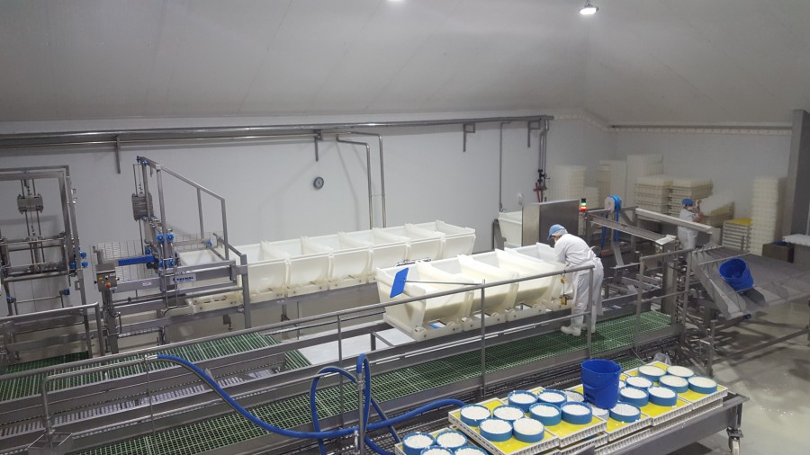 Ligne bassine Dynafrom