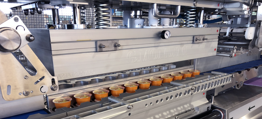 Operculeuses TRAVE - G.Mondini